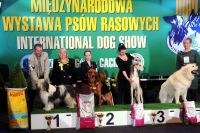 Best of Polish Breeds<br>judge: Małgorzata Supronowicz